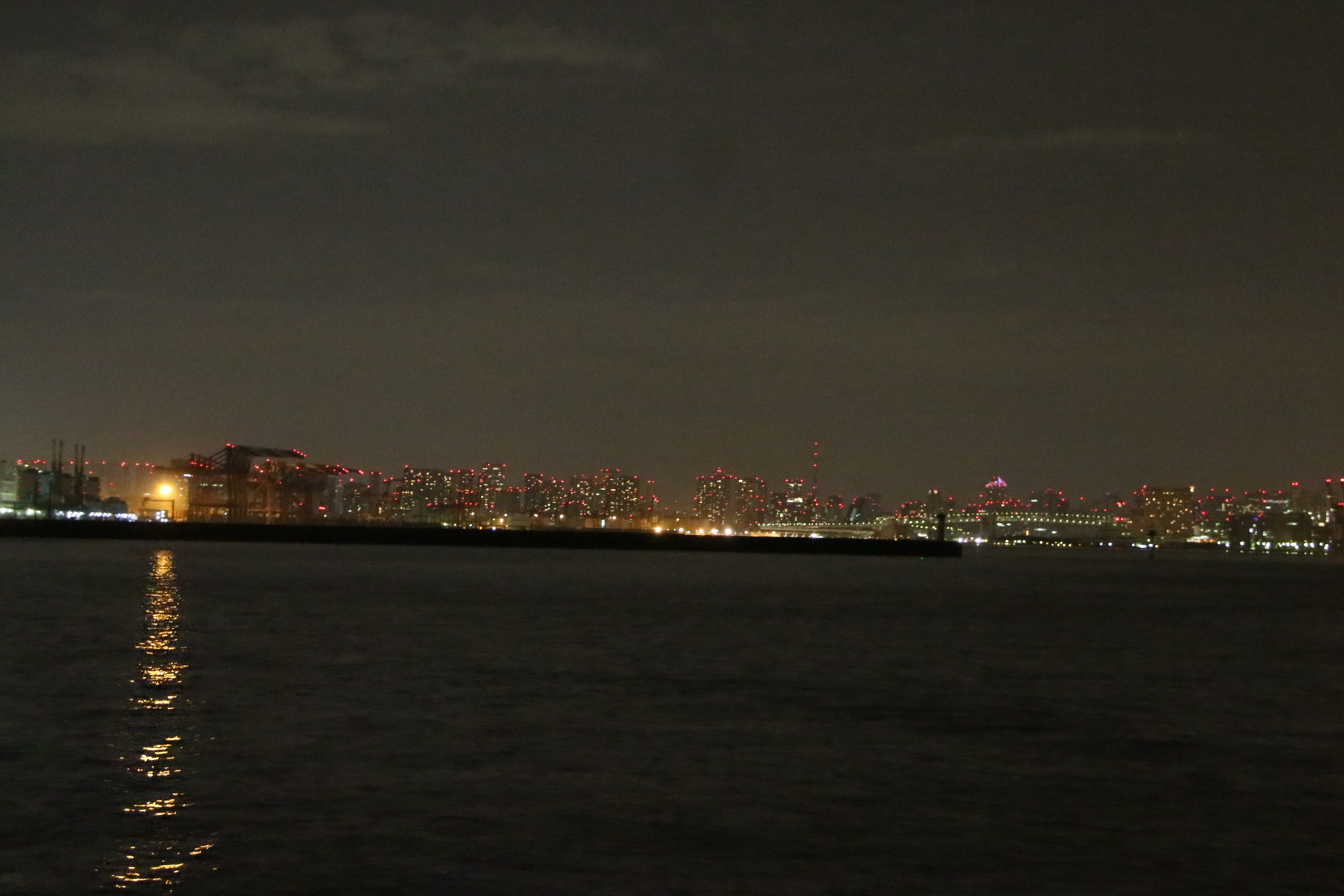 城南島海浜公園からの夜景 気まぐれドライブ日記 自然の生命の風景と夜景