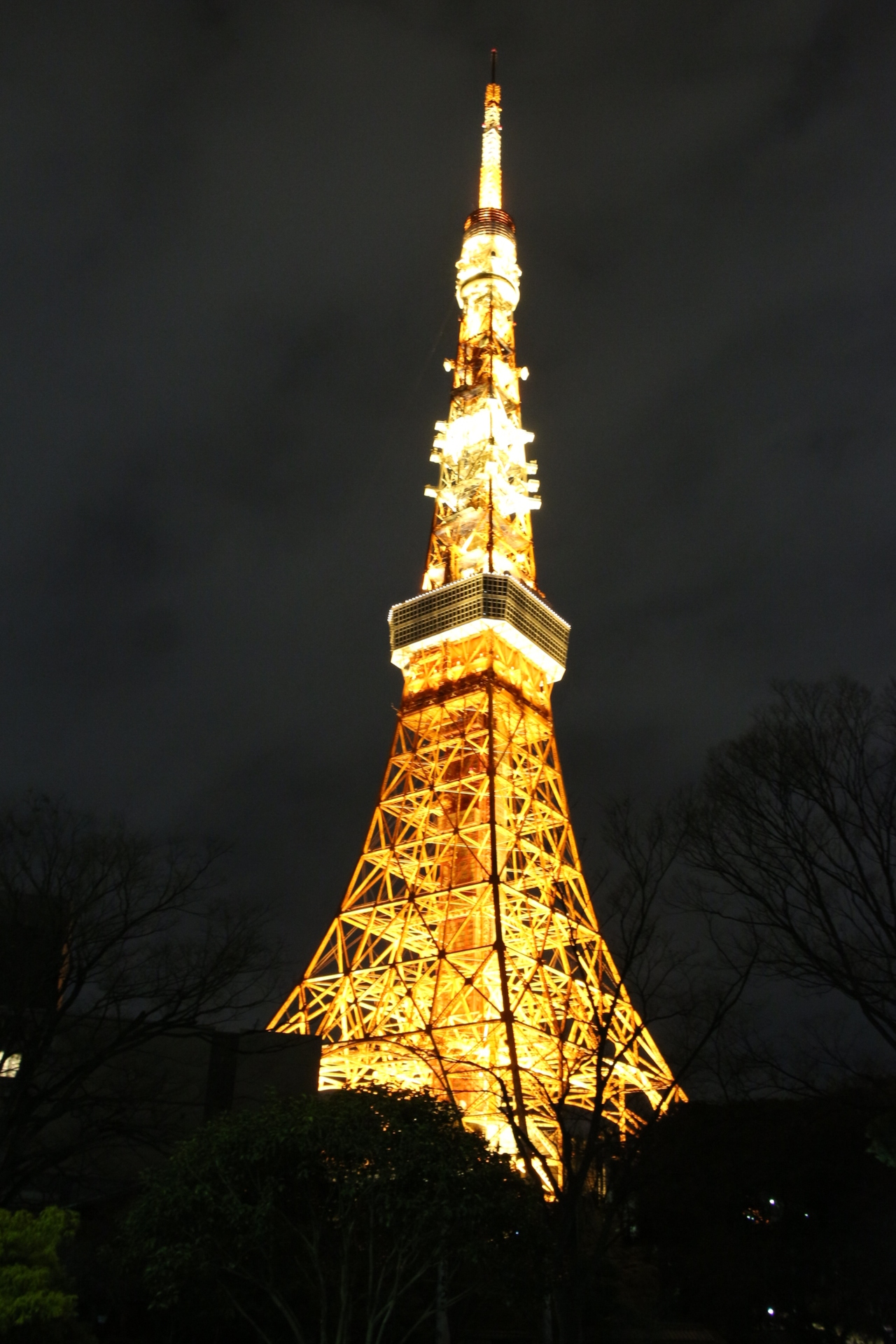 芝公園あたりからの東京タワー夜景 気まぐれドライブ日記 自然の生命の風景と夜景